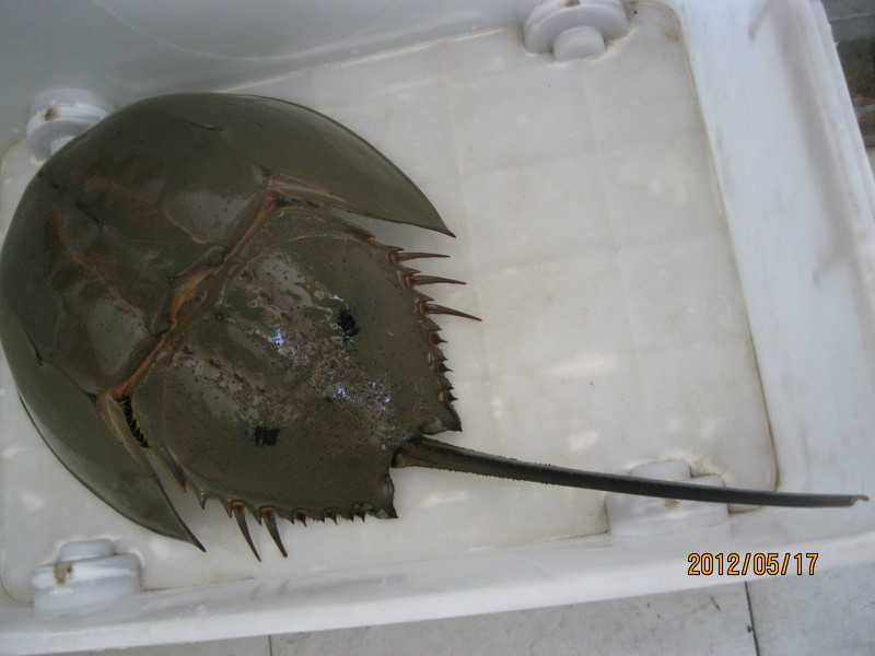 必一运动bsport体育