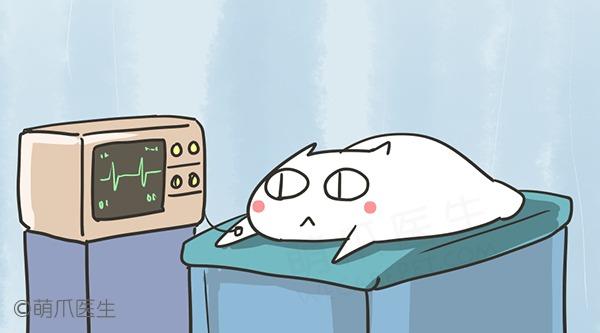 必一运动官网|天府五小举行“乐考嘉年华,缤纷庆元旦”活动(图4) 必一运动bsport体育