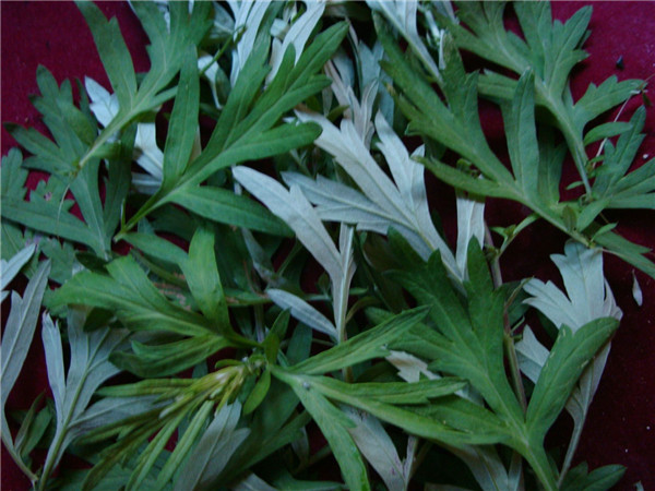 必一运动bsport体育