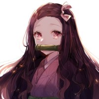 必一运动bsport体育