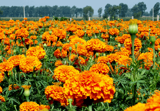 必一运动bsport体育