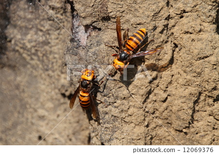 必一运动bsport体育