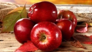 全国教师招聘考试初中体育笔试习题【bsports必一体育】(图2) 必一运动官网