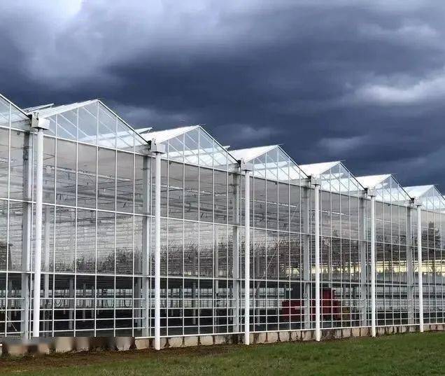 bsports必一体育-
农场治理、智慧农业、微生物学？——探秘奥本大学暑期全英文课程(图1)