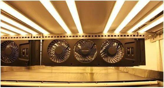 bsports必一体育-
农场治理、智慧农业、微生物学？——探秘奥本大学暑期全英文课程(图3)