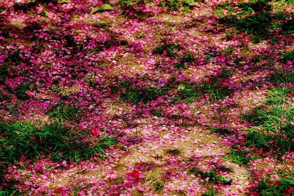 社交直播APP LiveMe推出Fluxr,引爆手游直播市场【必一运动bsport体育】(图2) 必一运动