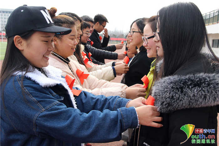 甜点显卡燃爆,迪兰双11优惠享不停|bsports必一体育(图1) 必一运动官网