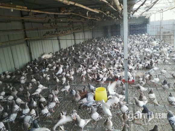 必一运动bsport体育