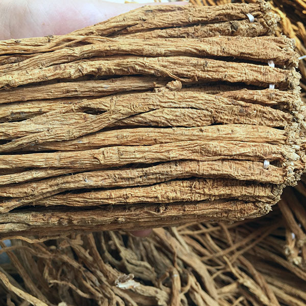 必一运动bsport体育